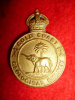 Gold Coast Geological Survey Gilt Pagri Badge